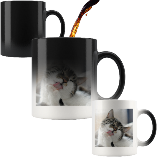 cat mug - Cute Cats Store