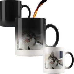 cat mug - Cute Cats Store