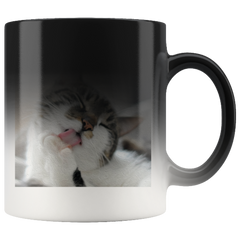 cute cat mug - Cute Cats Store