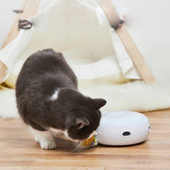 electronic cat toy - Cute Cats Store