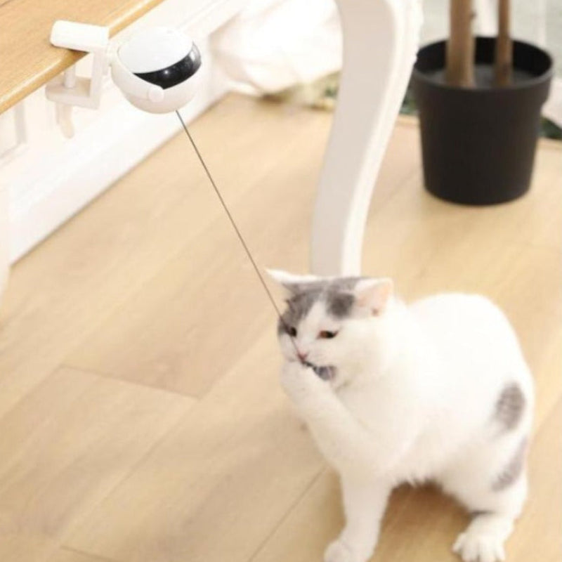 funny cat toys - Cute Cats Store