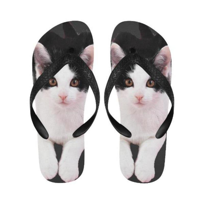 cat flip flops - Cute Cats Store