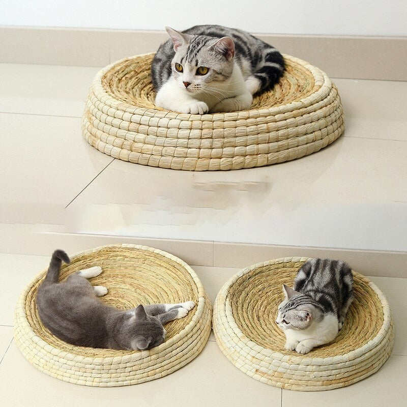 cat basket - Cute Cats Store