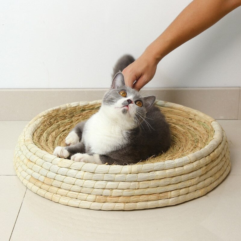 https://www.cutecatsstore.com/cdn/shop/products/handmade-straw-woven-cat-house-round-cat_main-3.jpg?v=1669604743