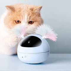 laser pointer for cats - Cute Cats Store