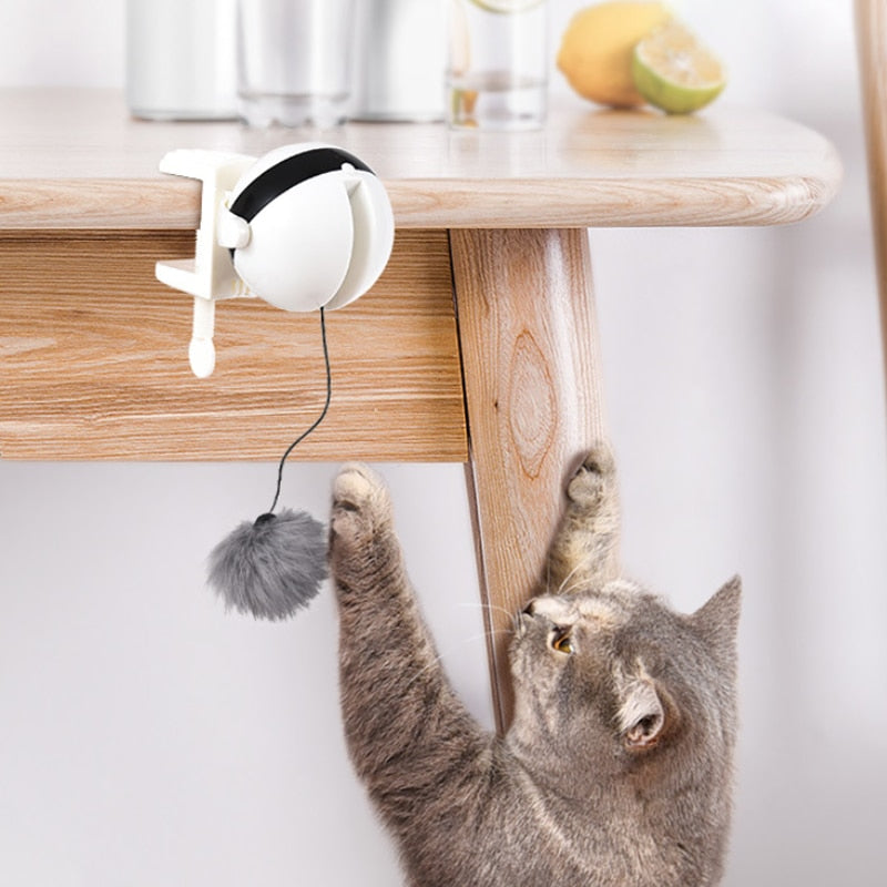 Cat Teaser Toy Electronic Lifting Ball Motion Activated Interactive Ca ...