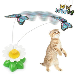 interactive cat toys - Cute Cats Store