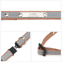 personalized cat collars - Cute Cats Store