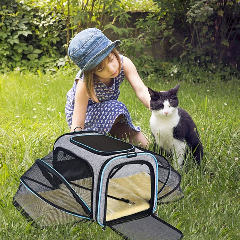 cat carrier handbag - Cute Cats Store