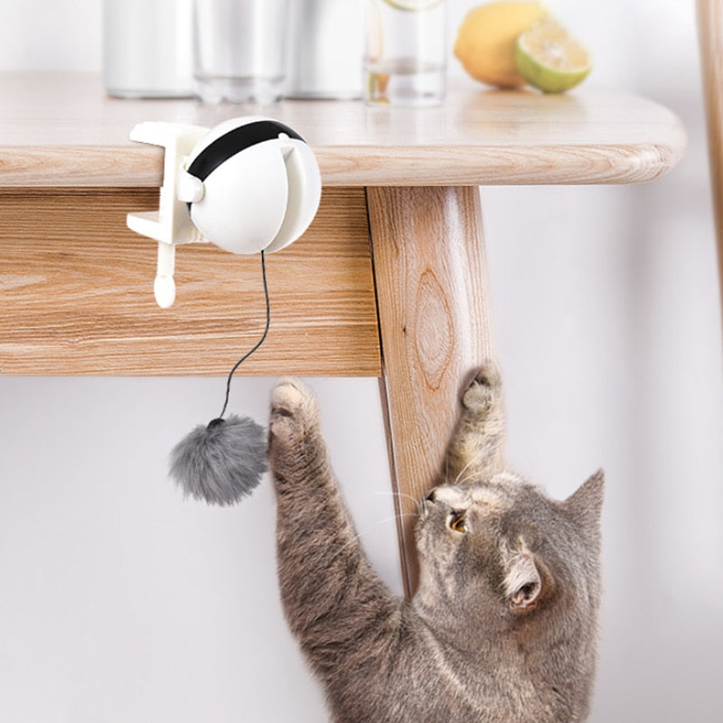motion activated cat toy - Cute Cats Store