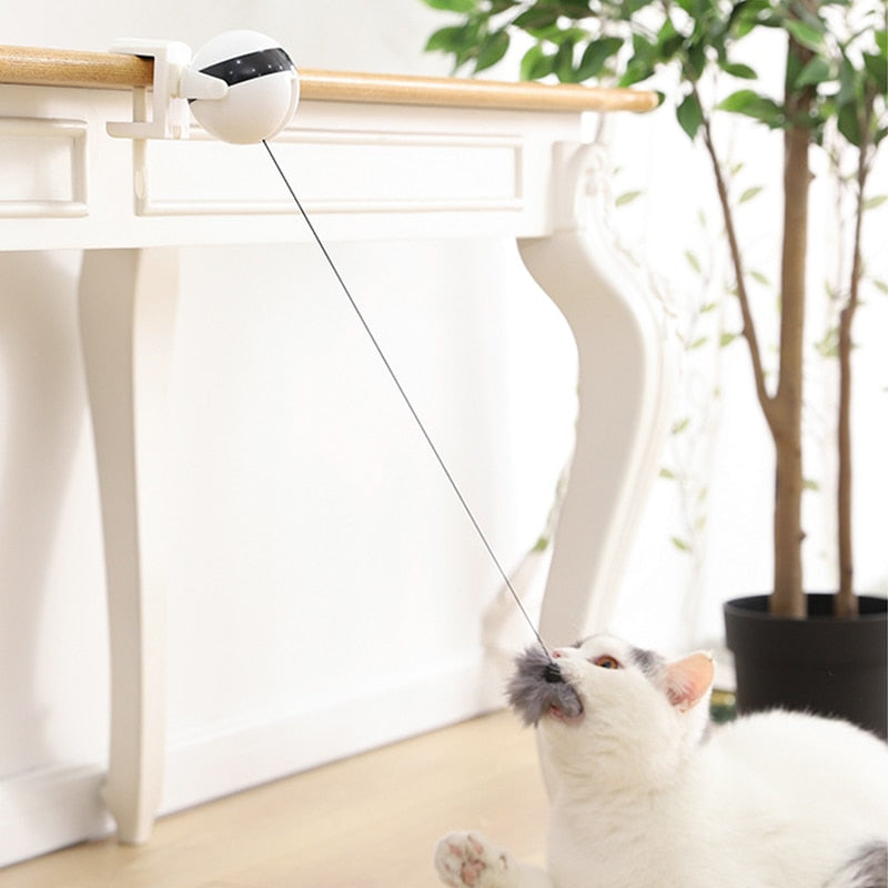 interactive cat toys - Cute Cats Store