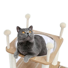 cat tower - Cute Cats Store