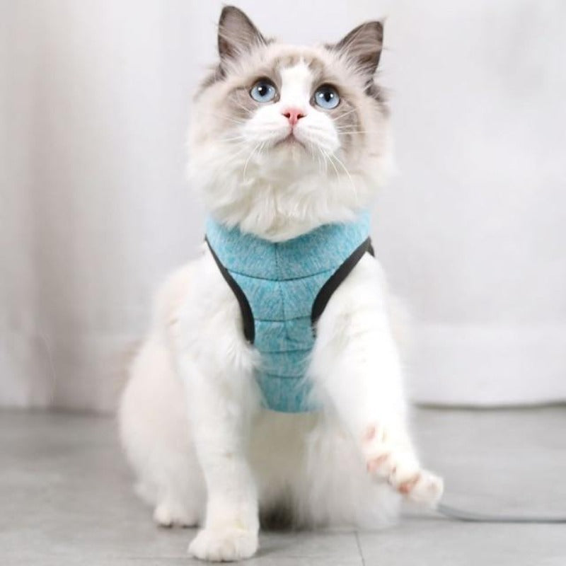 cat harness and leash - Cute Cats Store