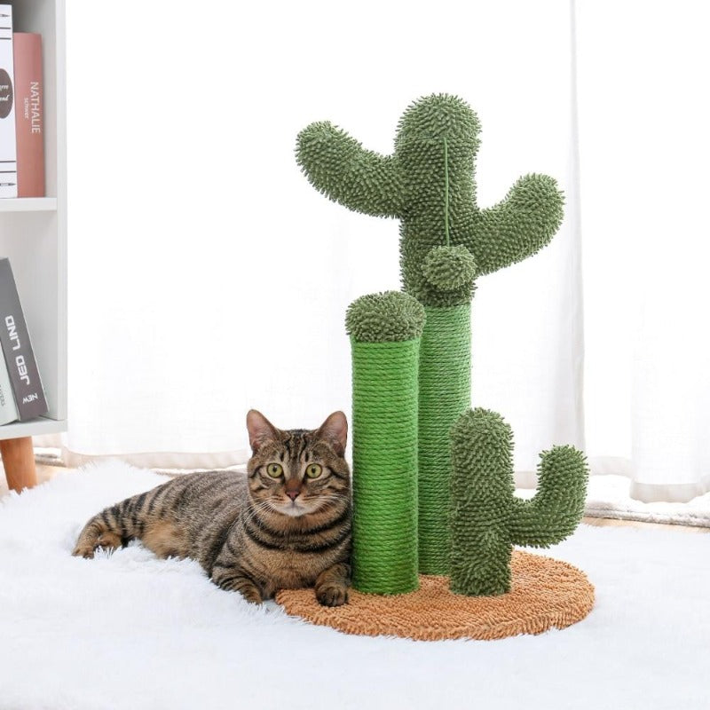 cactus cat scratcher - Cute Cats Store