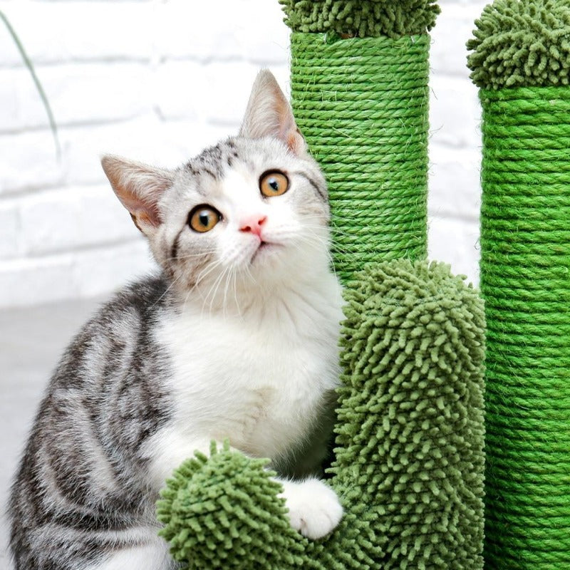 scratching post - Cute Cats Store