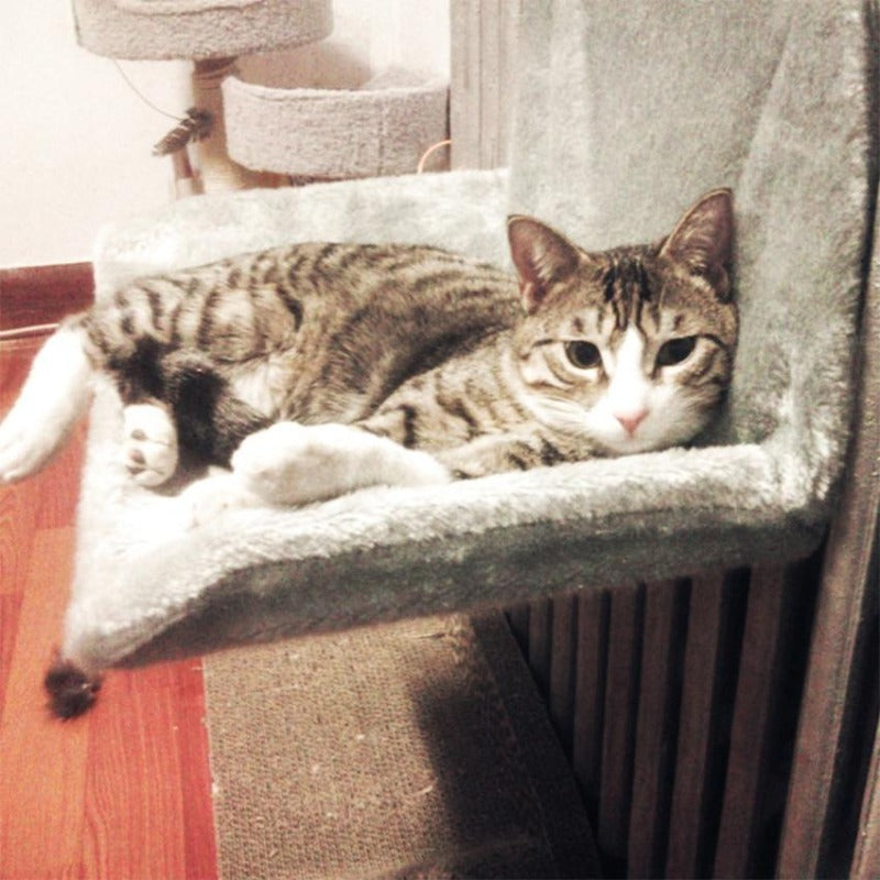 cat hanging hammock - Cute Cats Store