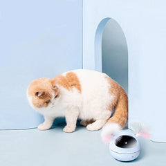 laser pointer for cats - Cute Cats Store