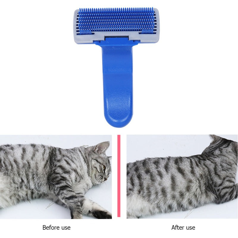 cats hair brush - Cute Cats Store