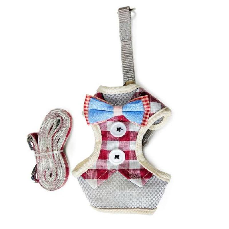 cat vest and leash - Cute Cats Store
