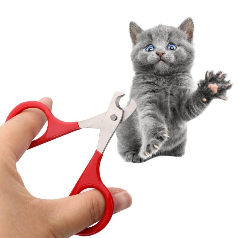 best cat grooming tools - Cute Cats Store