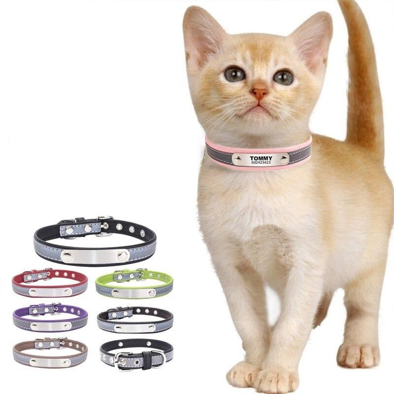custom cat collars - Cute Cats Store