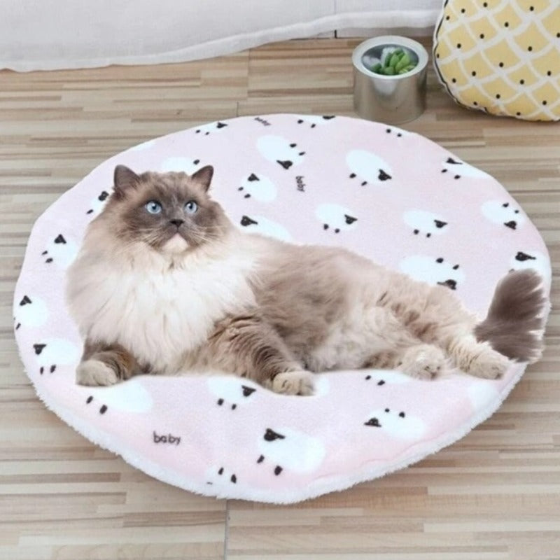 cat mats - Cute Cats Store