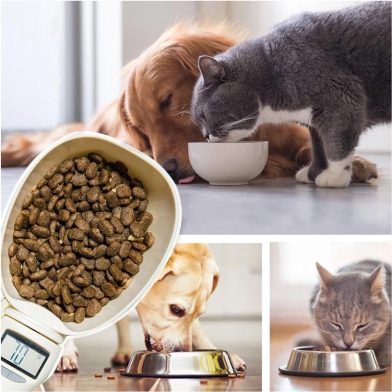 Electronic cat feeding spoon - Cute Cats Store