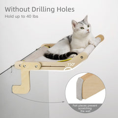 window mount cat bed - Cute Cats Store