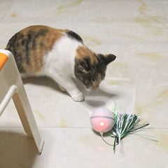 interactive cat toy - Cute Cats Store